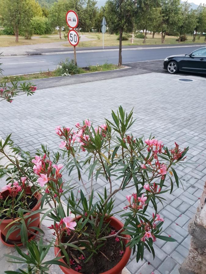 Orşova Pretty Gardenヴィラ エクステリア 写真